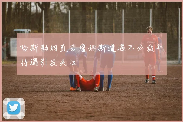 哈斯勒姆直言詹姆斯遭遇不公裁判待遇引发关注