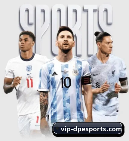 DP体育 APP（DPSPORTS）