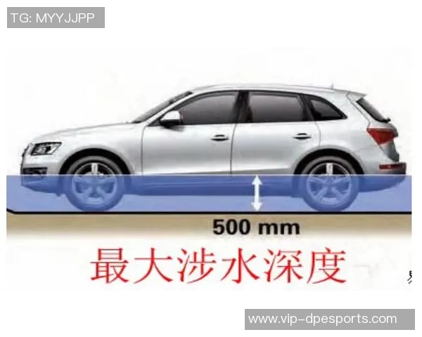 永州车行工作人员揭露送车真相教练曾暗示只是忽悠唐蕾的说法