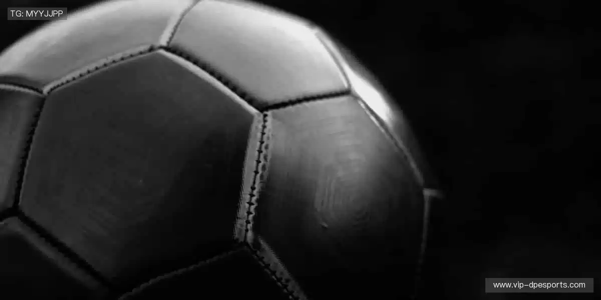 互动时刻,与你同在!💬🎉